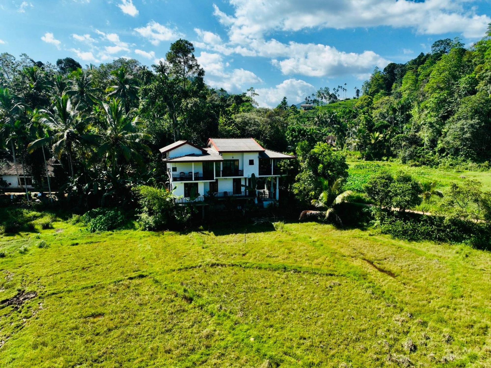 Wildlife Kingdom - Deniyaya Sinharaja Hotel Exterior photo