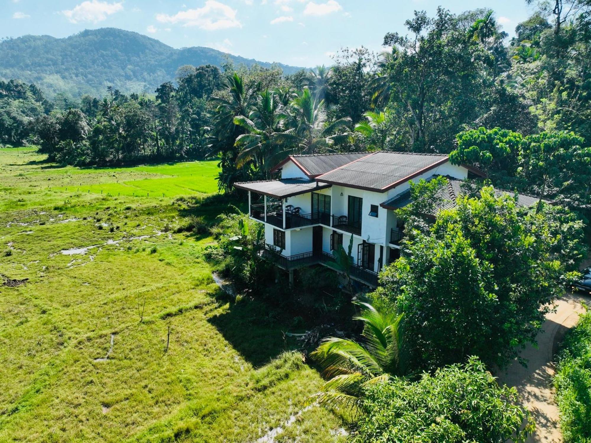 Wildlife Kingdom - Deniyaya Sinharaja Hotel Exterior photo