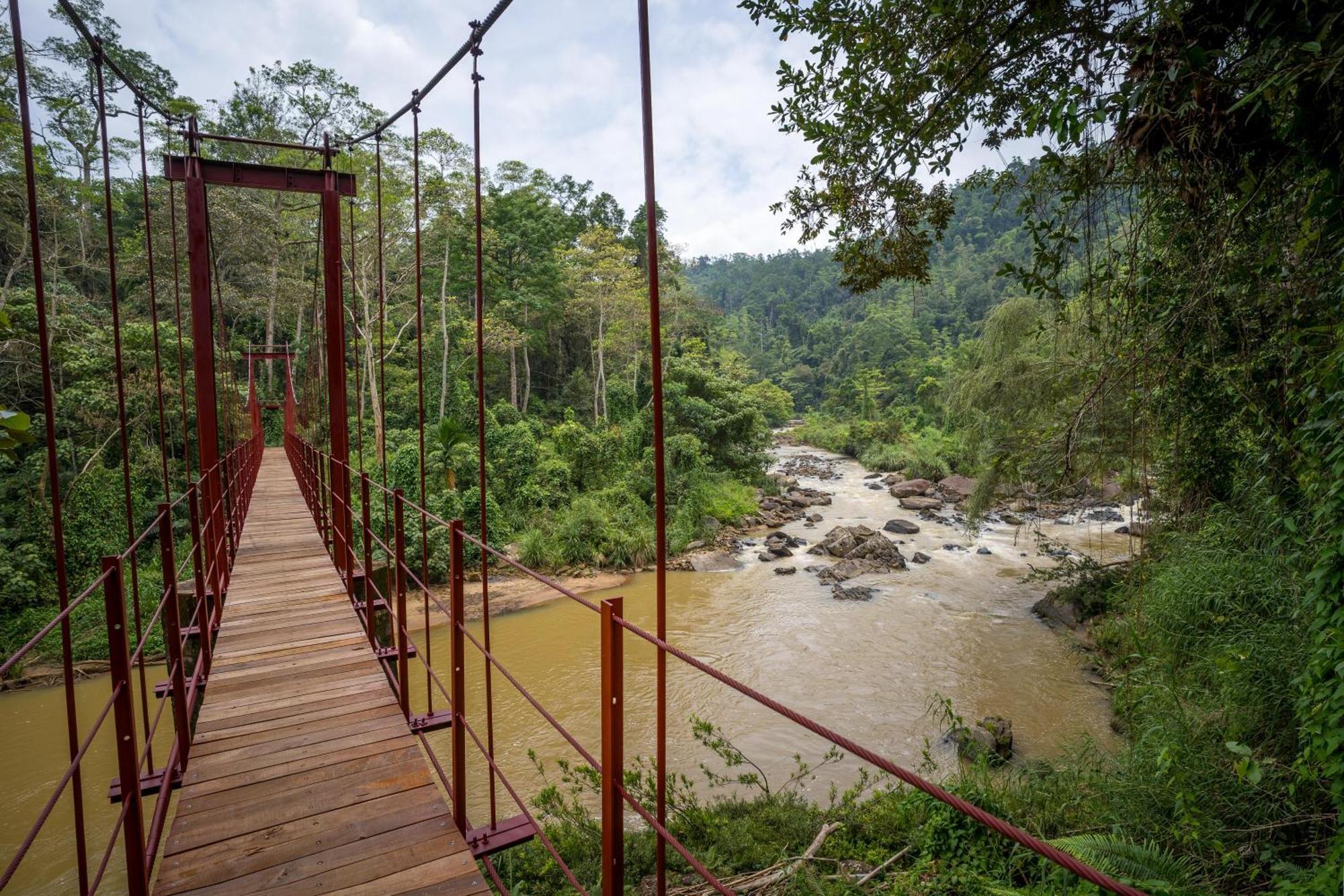 Wildlife Kingdom - Deniyaya Sinharaja Hotel Exterior photo